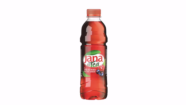 Jana ledeni čaj šumsko voće 0,5 l